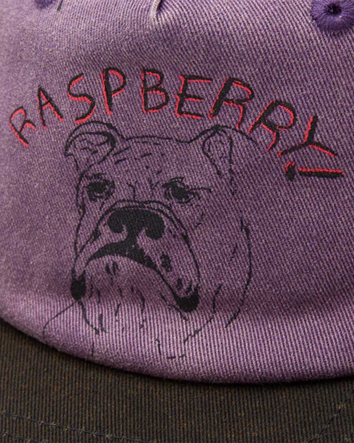 GV Gallery Bulldog Hat Purple